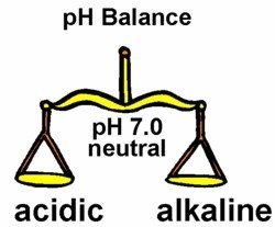 whatfoodsto properly balance ph levels