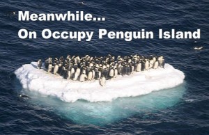 meanwhileonoccupypenguinisland