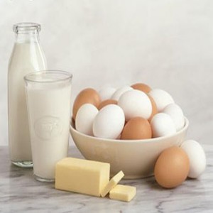 Protein Based Foods which contain essential amino acids