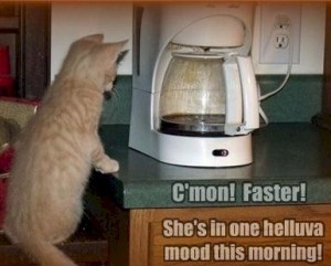can't make coffee faster