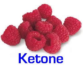raspberry ketone weight loss suplements