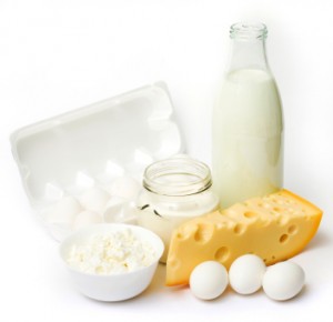 Fresh eggs and dairy products
