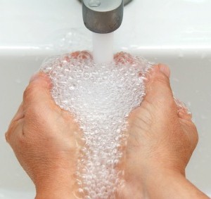 hands are where germs and bacteria can spread in the kitchen