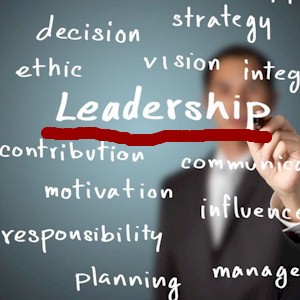 do you show the traits of a leader