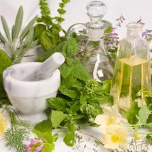 how using herbal based medicines can help you heal