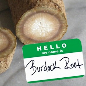the burdock root is good for detoxing