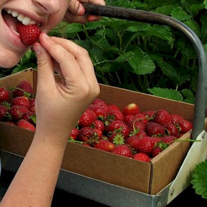 eating as close to nature as possible