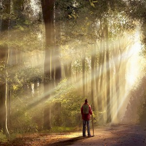 abundance of nature