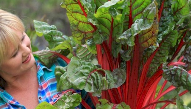 how to become more healthy by eating healthy natural foods