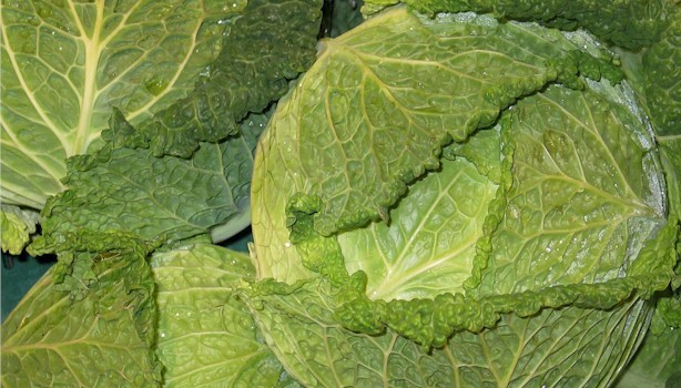 5-healthfoods