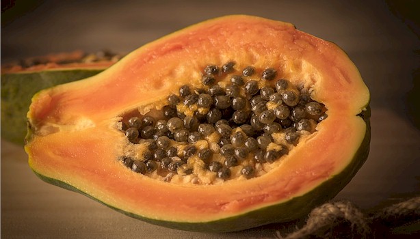 2-healthmyths
