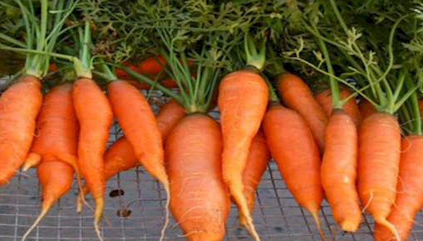 3-healthmyths