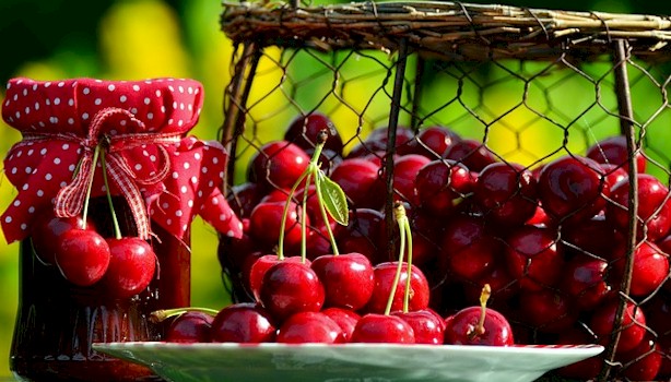 5-healthmyths