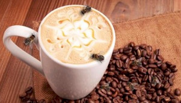 8-coffee