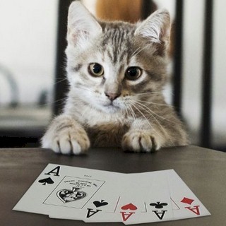 how-to-become-luckier