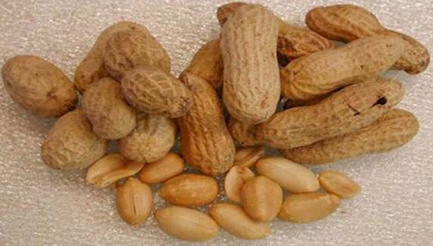 3-foodallergy