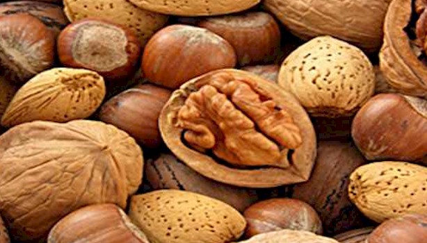 4-foodallergy