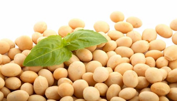 8-foodallergy