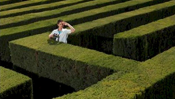 having dreams of being lost