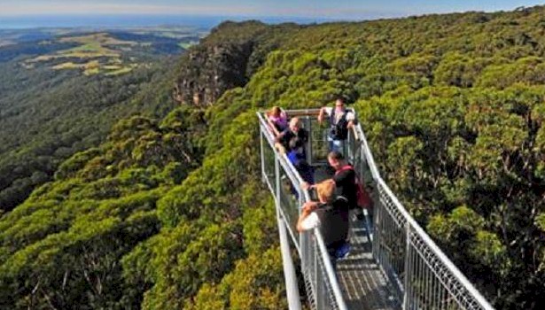 Illawarra Tree Walk Australia
